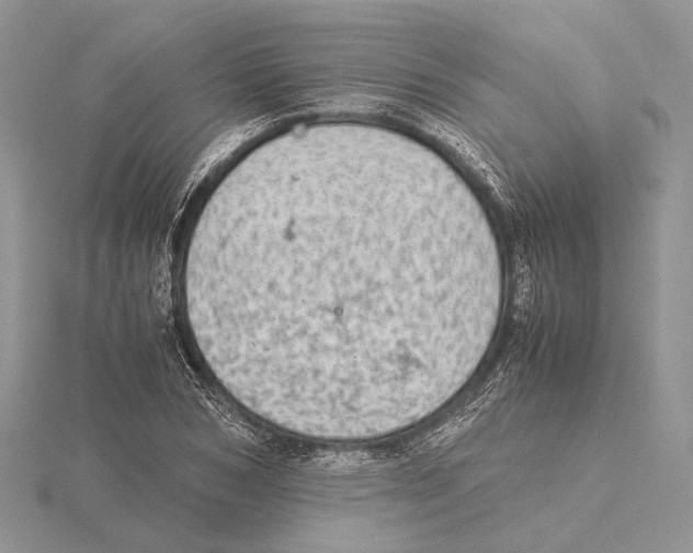 X0000115640978200912081101