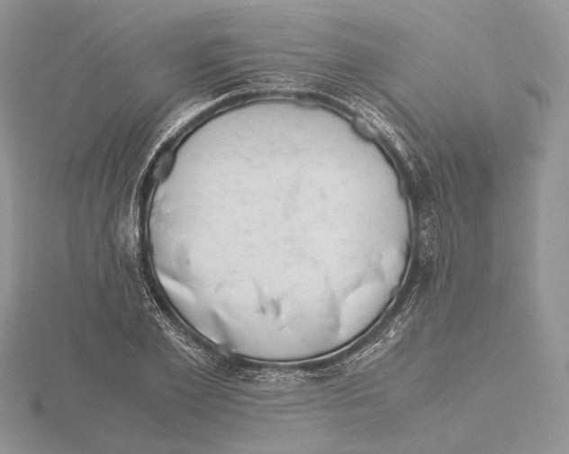 X0000115640981200912081101