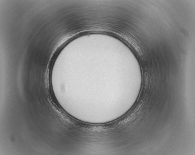 X0000115640982200912081101