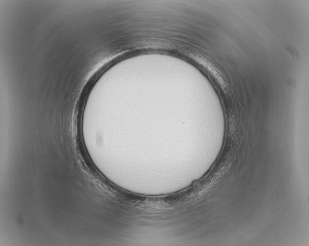 X0000115640983200912081101