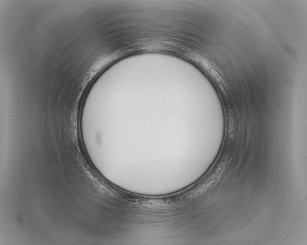 X0000115640986200912081101