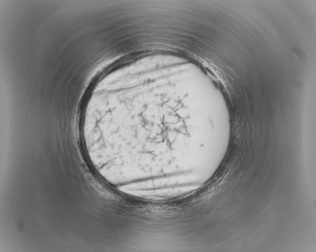 X0000115640987200912081101