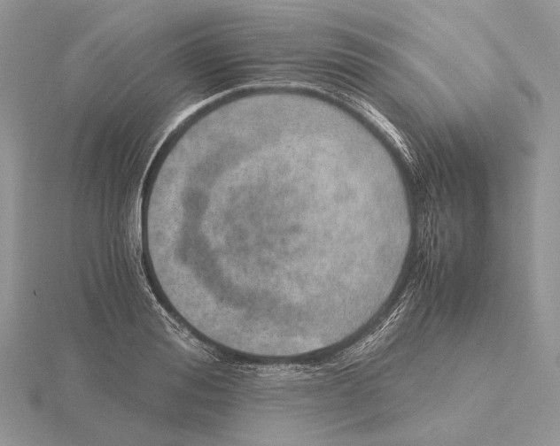 X0000115640988200912081101