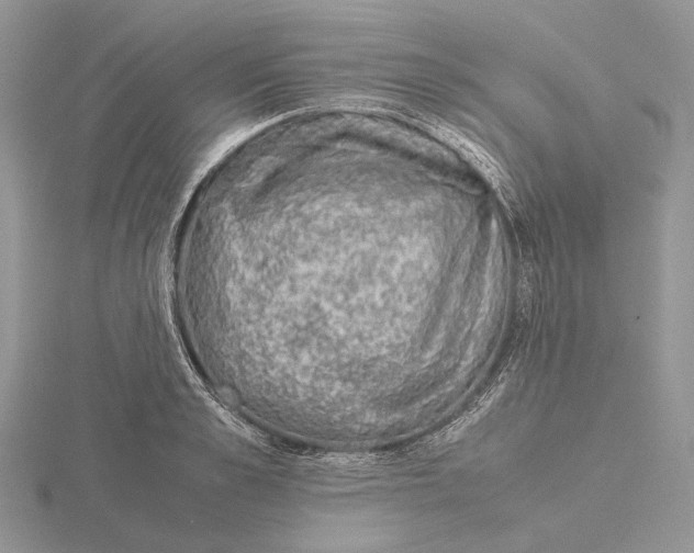 X0000115640989200912081101