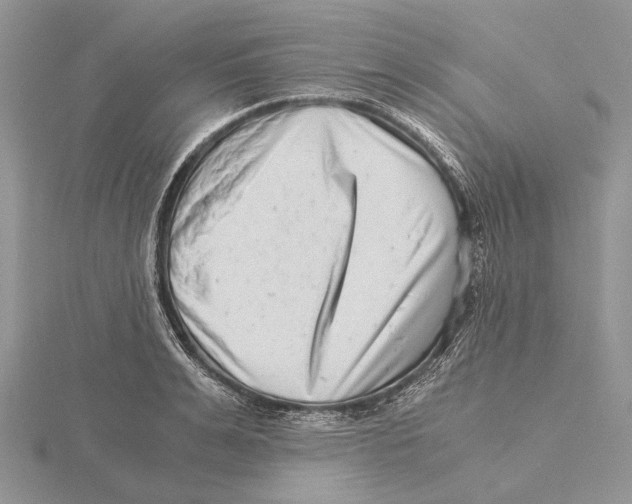X0000115640991200912081100
