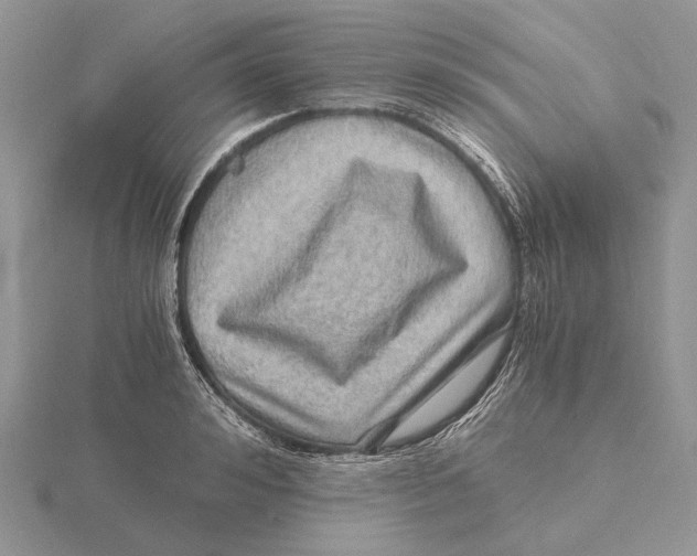 X0000115640992200912081100