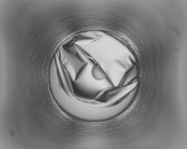 X0000115640993200912081100