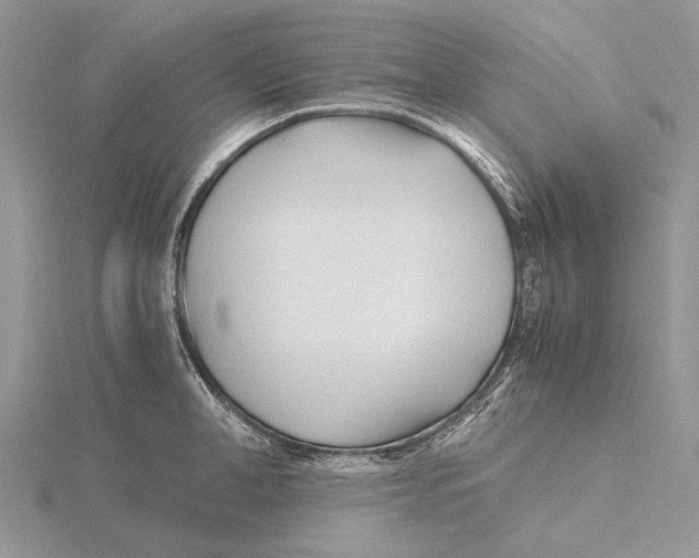 X0000115640998200912081100