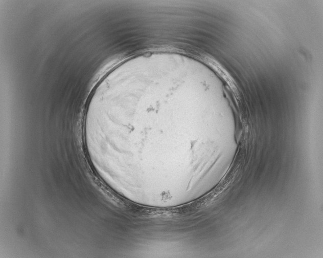 X0000115641002200912081100