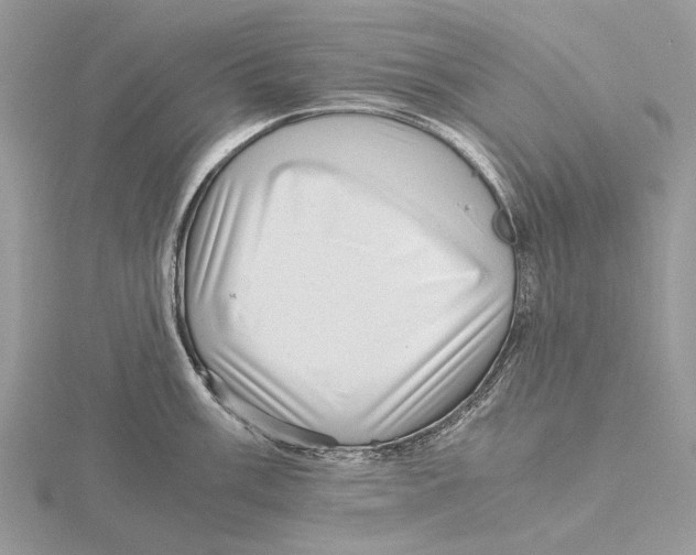 X0000115641003200912081100