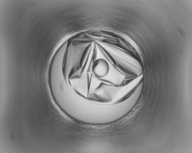 X0000115641005200912081100