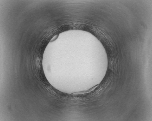 X0000115641010200912081100
