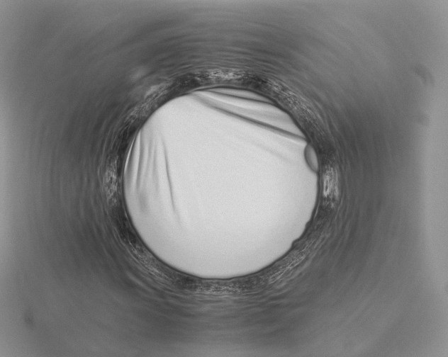 X0000115641011200912081100