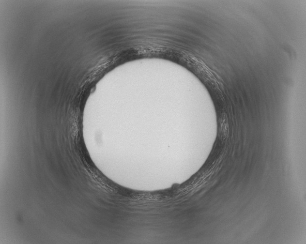 X0000115641012200912081100