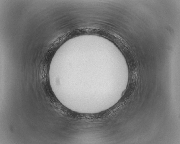 X0000115641014200912081100