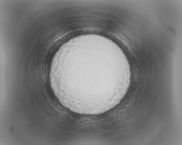 X0000115641015200912081100