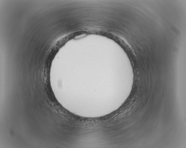 X0000115641016200912081100