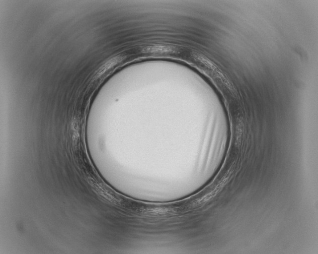 X0000115641017200912081100