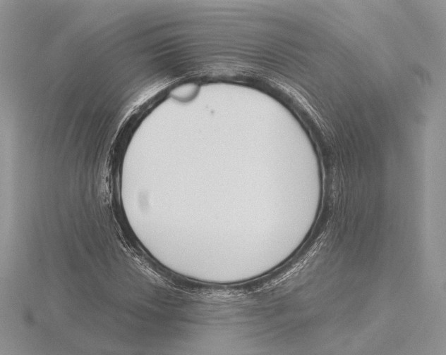 X0000115641018200912081100
