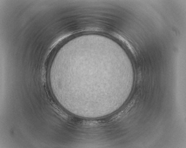 X0000115641019200912081100