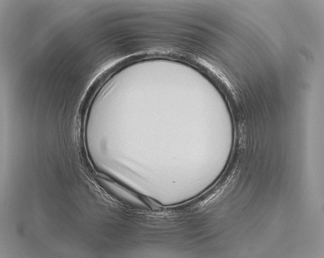 X0000115641021200912081100
