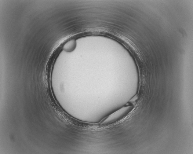 X0000115641022200912081100
