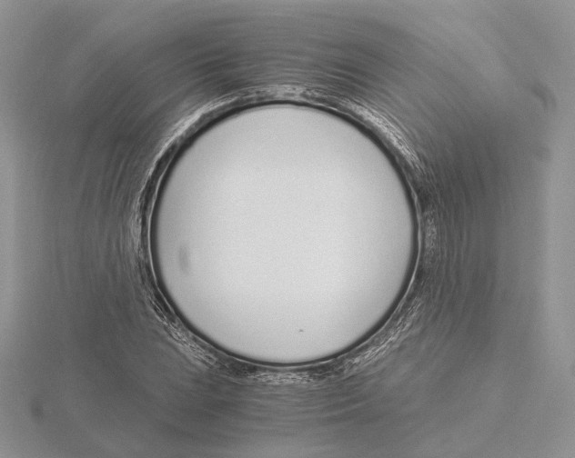X0000115641023200912081100