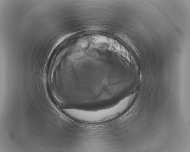 X0000115641024200912081100