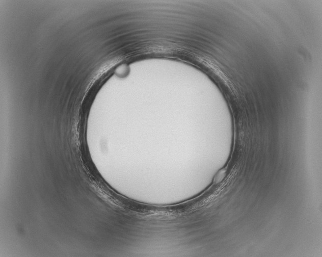 X0000115641026200912081100
