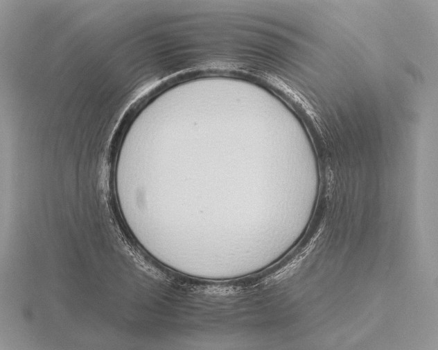 X0000115641029200912081100