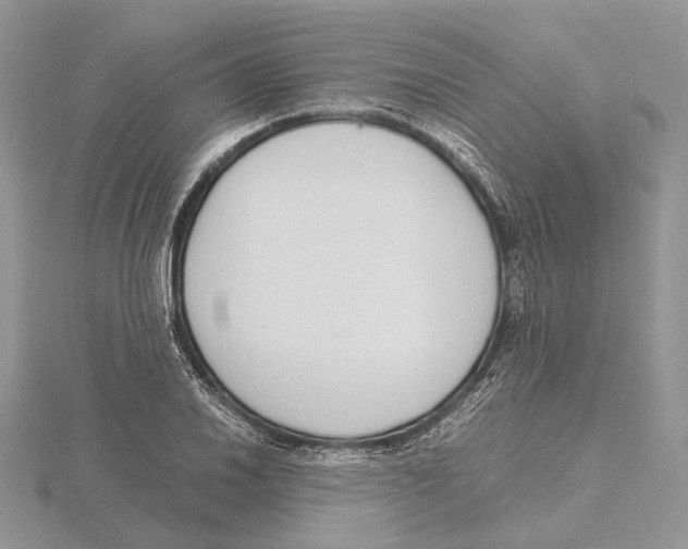 X0000115641030200912081100