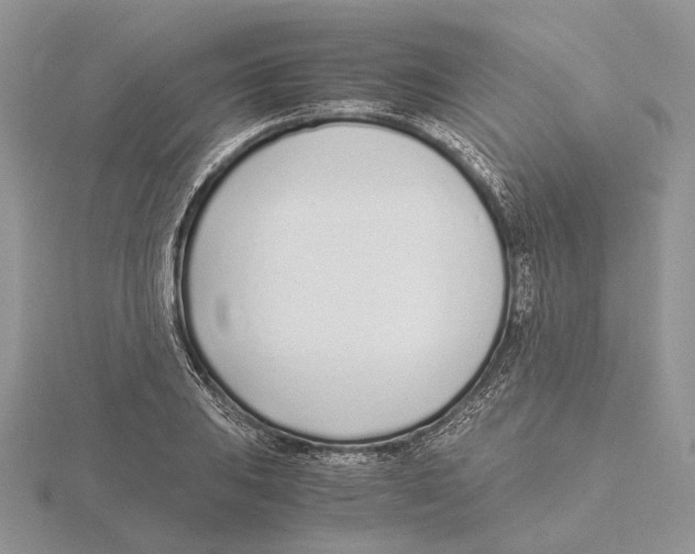 X0000115641031200912081100