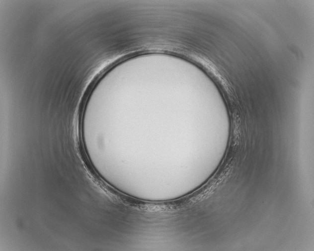 X0000115641032200912081100