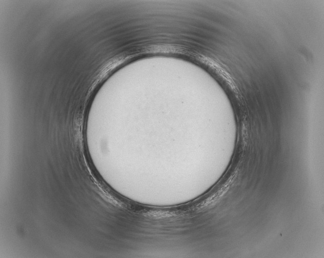 X0000115641033200912081100