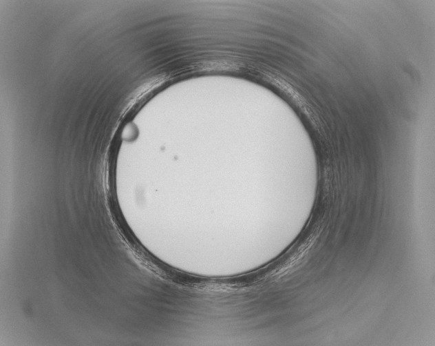 X0000115641034200912081100