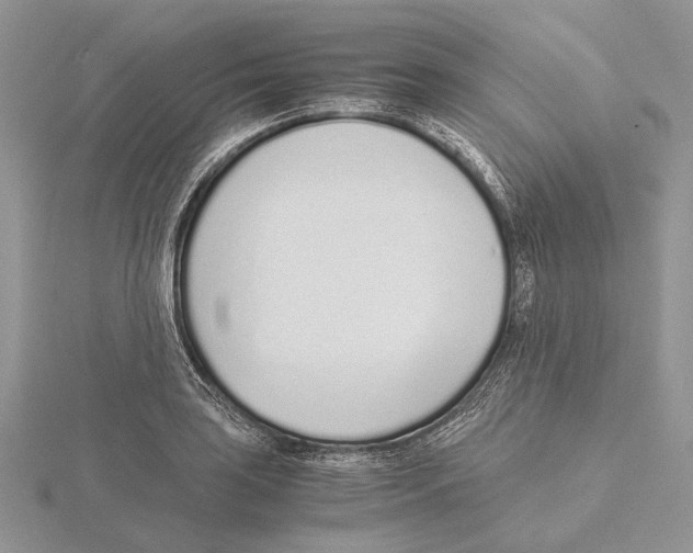 X0000115641035200912081100