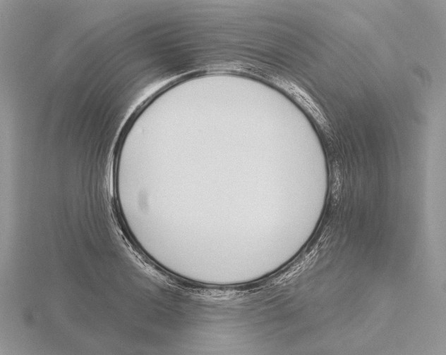 X0000115641036200912081100