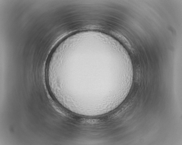 X0000115641039200912081100