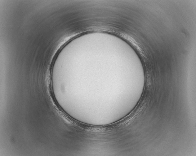 X0000115641040200912081100