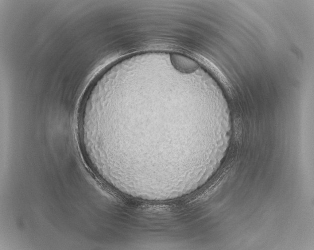 X0000115641043200912081100