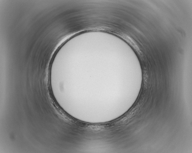 X0000115641044200912081100