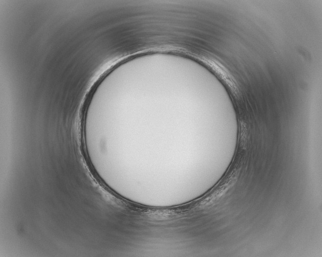 X0000115641046200912081100
