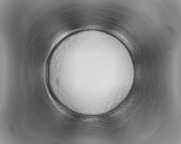 X0000115641047200912081100