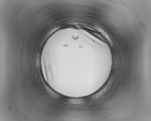 X0000115641049200912081100