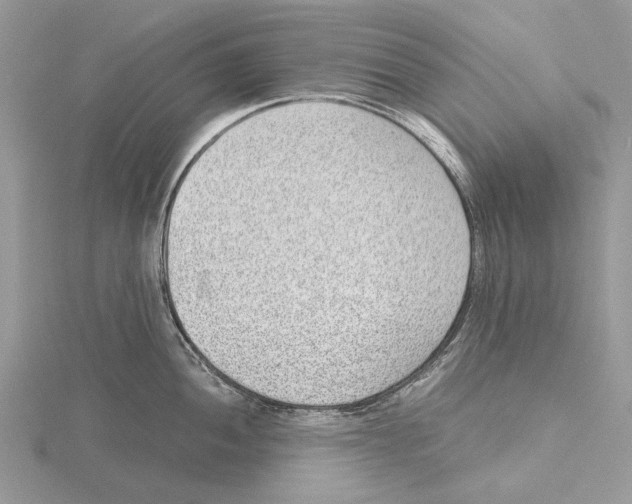 X0000115641052200912081100