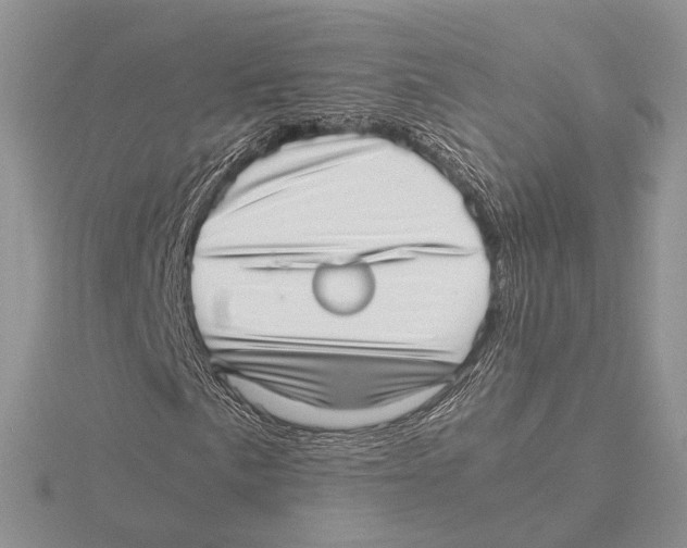 X0000115641057200912081059