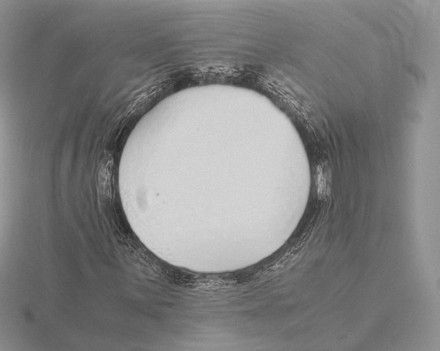 X0000115641059200912081059