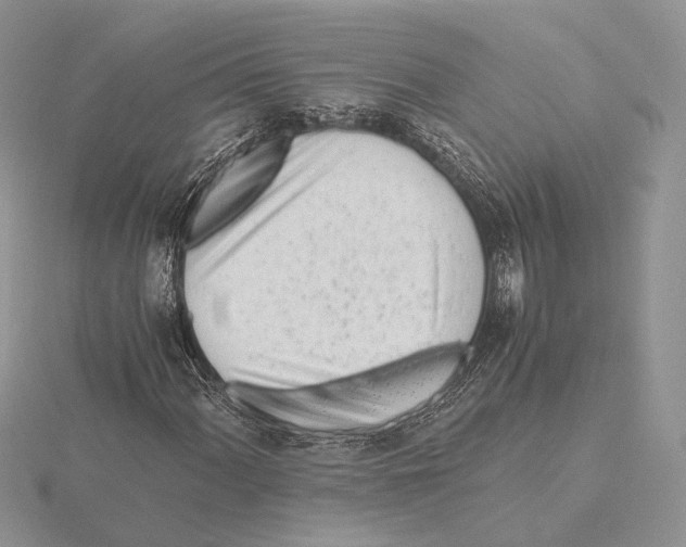 X0000115641060200912081059