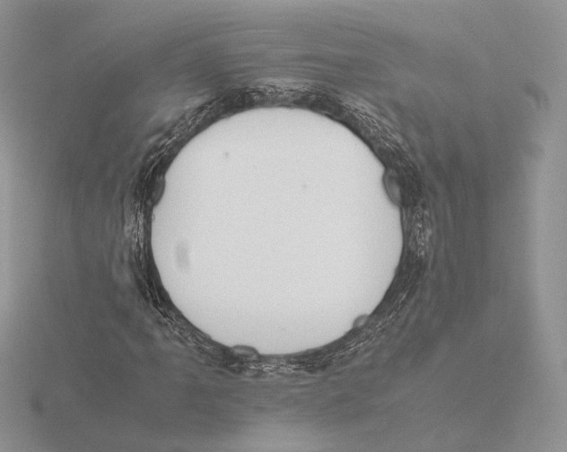 X0000115641061200912081059