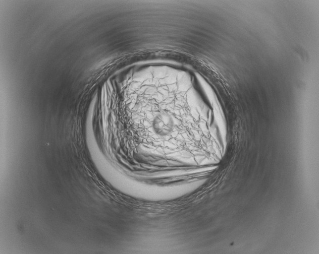 X0000115641062200912081059